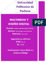Multimedia Y Diseño Digital: Universidad Politécnica de Pachuca