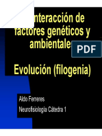 La Interacción de Factores Genéticos y Ambientales Evolución (Filogenia)