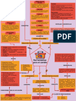 Herramientas Del Cambio