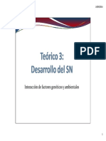 Teórico 3: Desarrollo Del SN