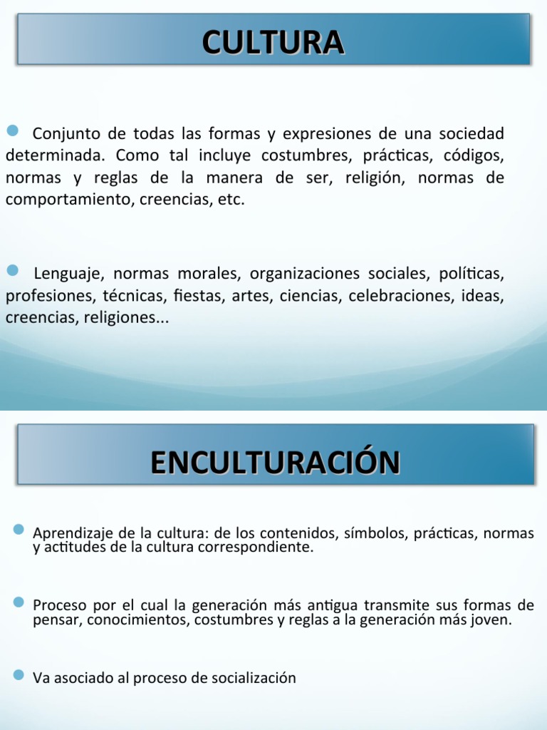 TEMA 1 El Ser Humano Como Ser Social y Cultural | PDF | Socialización ...