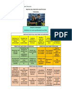 Matriz Del Proceso Adaptativo