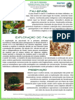 Semana Nacional de Tecnologia e Ciências - 2022: Pau-Brasil