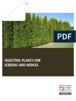 Selecting Plants For Screens and Hedges