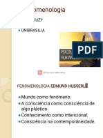 A Fenomenologia