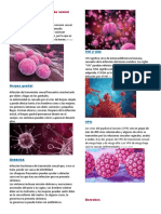 Enfermedad de Transmisión Sexual Común: Clamidia