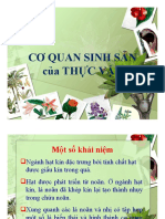 Cơ Quan Sinh Sản Của Thực Vật