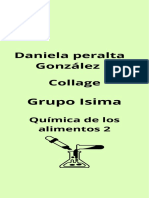 Daniela Peralta González Collage: Grupo Isima