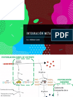 Integracion Metabólica Bioquimica UBA