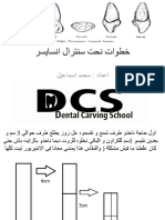 Central Incisor