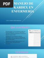 Guía para Llenar el Kardex de Enfermería | PDF | Enfermería ...
