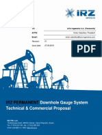 Irz Permanent: Downhole Gauge System Technical & Commercial Proposal