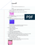 Disturbios Del Desarrollo