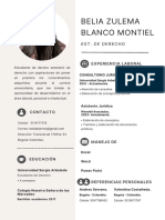 Belia Zulema Blanco Montiel: Experiencia Laboral