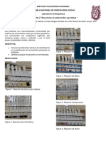 Informe Reacciones de Aminoácidos y Proteínas.