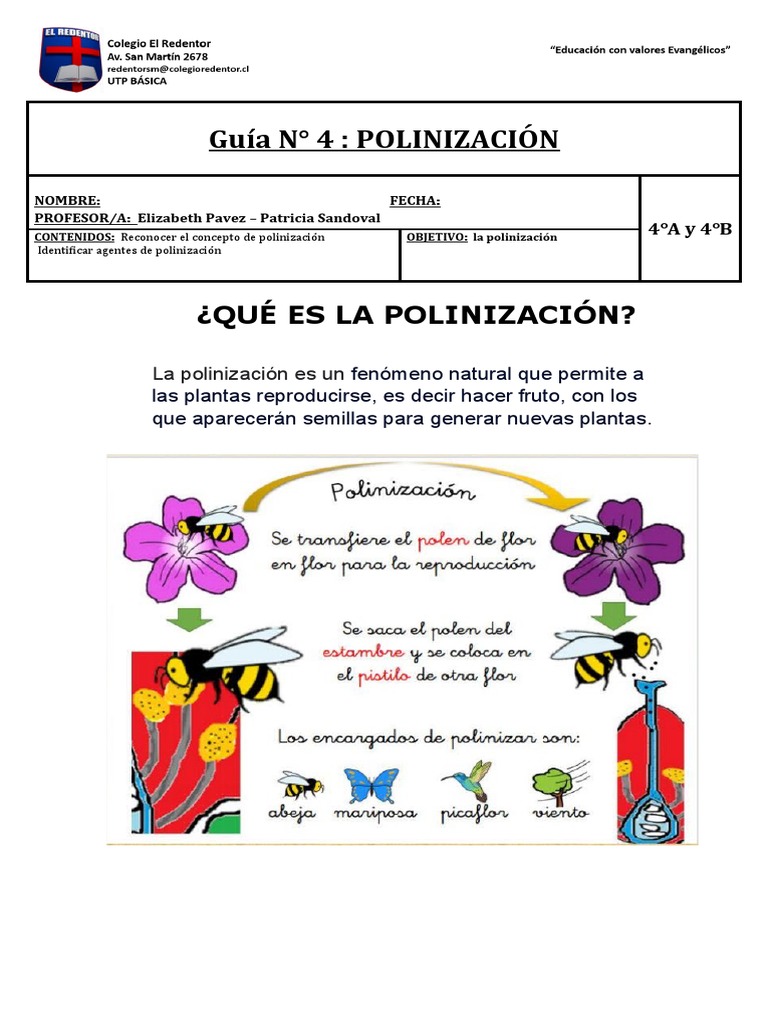 Guía 4 La Polinización PDF