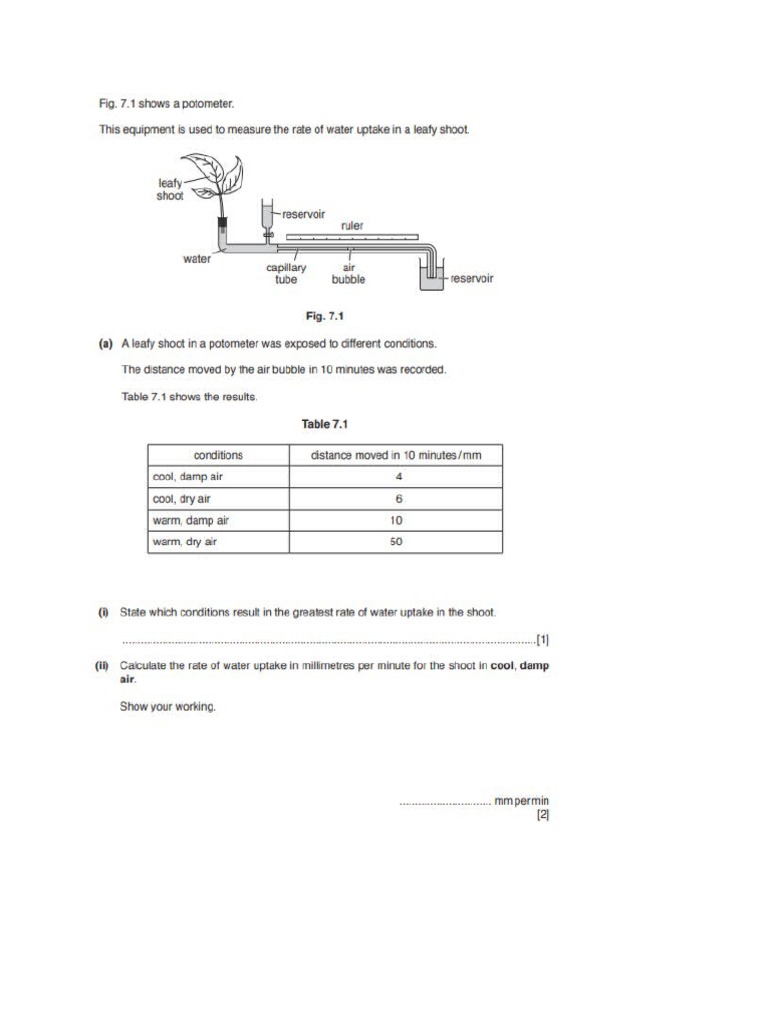 Y9 Worksheet On Plants and Environment PDF