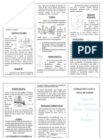 Region Centro - Occidental Tritico