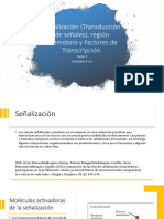 3 Transcripción 3 y Factores de Transcripción 4mar2021