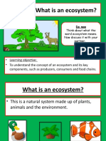 Lesson 1. What Is An Ecosystem