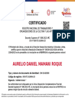 Aurelio Daniel Mamani Roque: Certificado