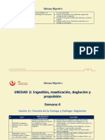 Estaciones ME374 Sistema Digestivo 2023-01 Sesión 11