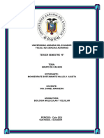 Grupos de cacaos: Forastero, Criollo, Trinitario y más