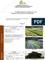 Desenvolvimento de mudas florestais sob efeito de sombreamento e irrigação