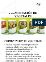 Fermentación de Vegetales: M.A. Ana Patricia Solís Sáinz