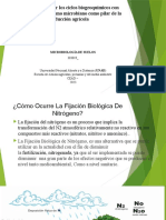 Tarea 3 Distinguir Los Ciclos Biogeoquimicos Con Base en El Metabolismo Microbiano Como Pilar de La Produccion Agricola