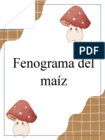 Fenograma