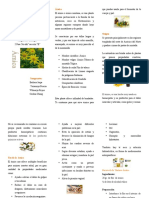 BIOLOGIA  MEDICINA ANCESTRAL 1 TRIPTICO