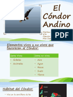 El Cóndor Andino