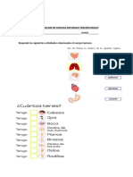 Evaluacion de Ciencias Naturales Tercero Básico 2023