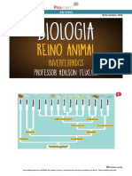 Reino Animal - Invertebrados (Parte 2) - Biologia - Prof. Adilson Teixeira