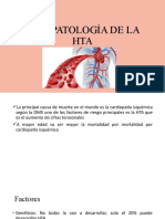 Fisiopatología de La Hta