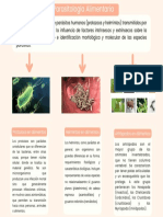 Parasitologia Alimentaria