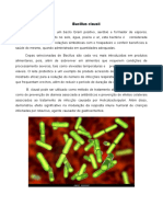 Bacillus clausii: características e aplicações do probiótico
