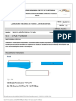 Reporte_Fluidos_3_CC_nelson_palma_08_2100.docx