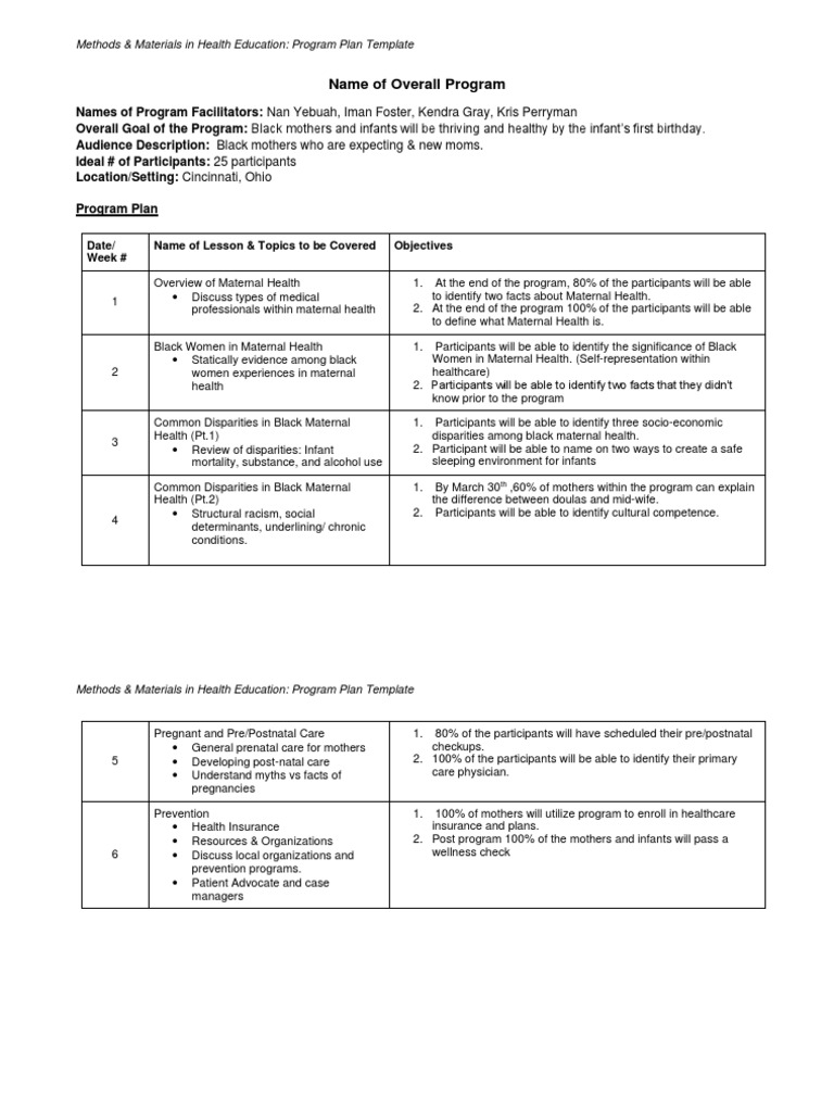 program-plan-template-pdf-maternal-health-mother