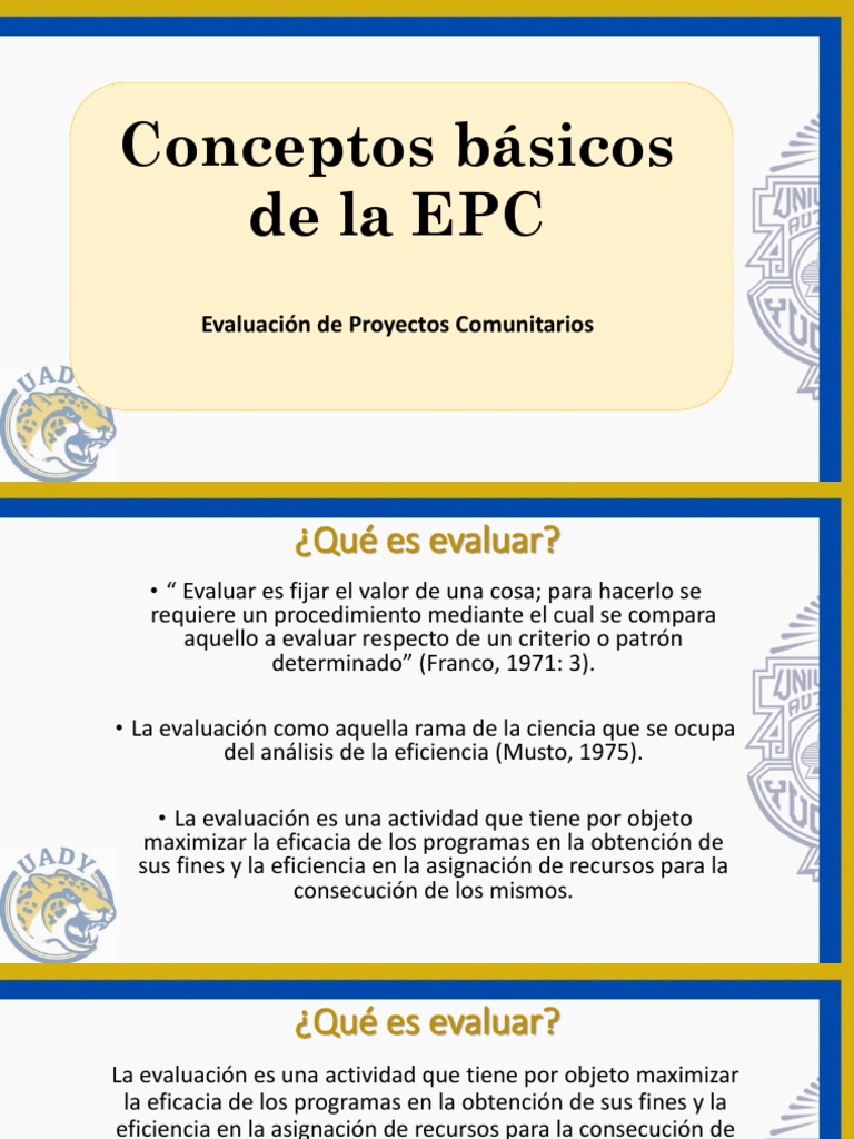 Fundamentos de Evaluación de Proyectos Comunitarios | PDF ...