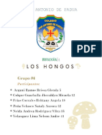 Hongos 