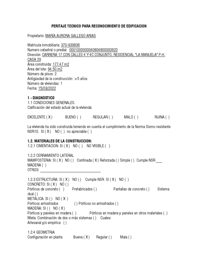 modelo-peritaje-pdf-ingeniero-civil