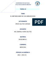 Metabolismo de Aminoácidos - Bioquímica