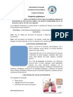 Neoplasia Pulmonares