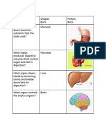 Human Body Flashcards 1