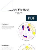 Meiosis Flipbook 1