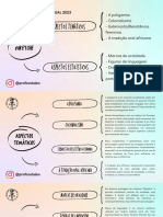 Mapa Mental - Niketche Aspectos Temáticos e Estilísticos