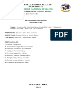 "Año de La Unidad, Paz Y El Desarrollo ": Universidad Nacional de Ucayali