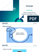 Histología: Semana 05